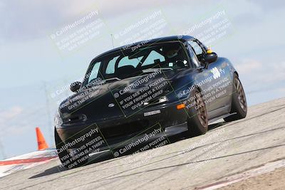 media/Mar-31-2024-Speed Ventures (Sun) [[a3b2bf813d]]/Purple/Session 2 (Grapevine)/